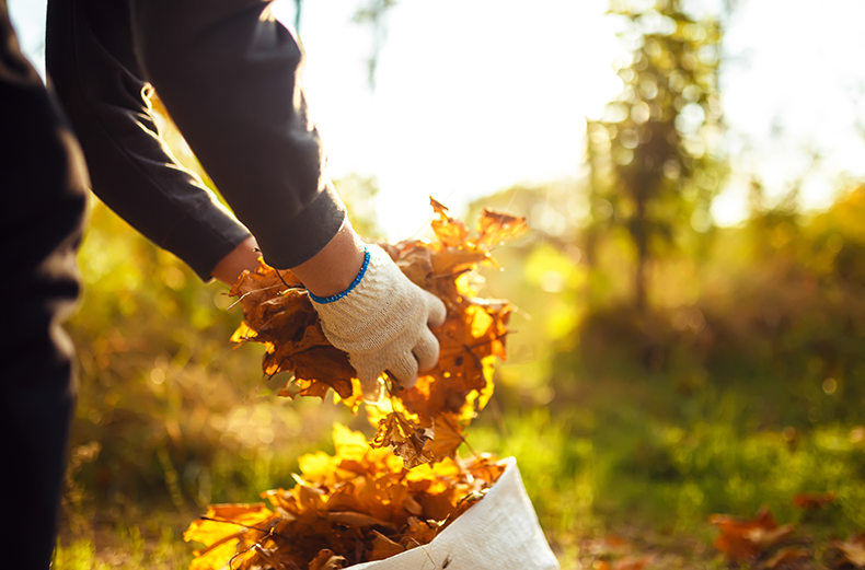 Fall cleanup