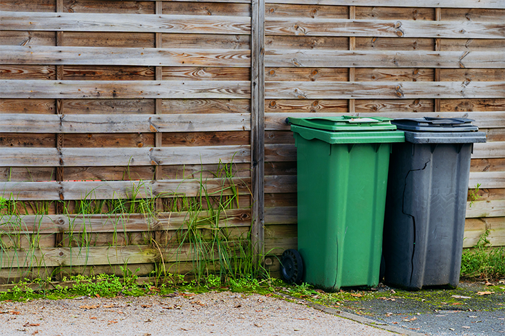 Green and black garbage bins standing outdoors by fence